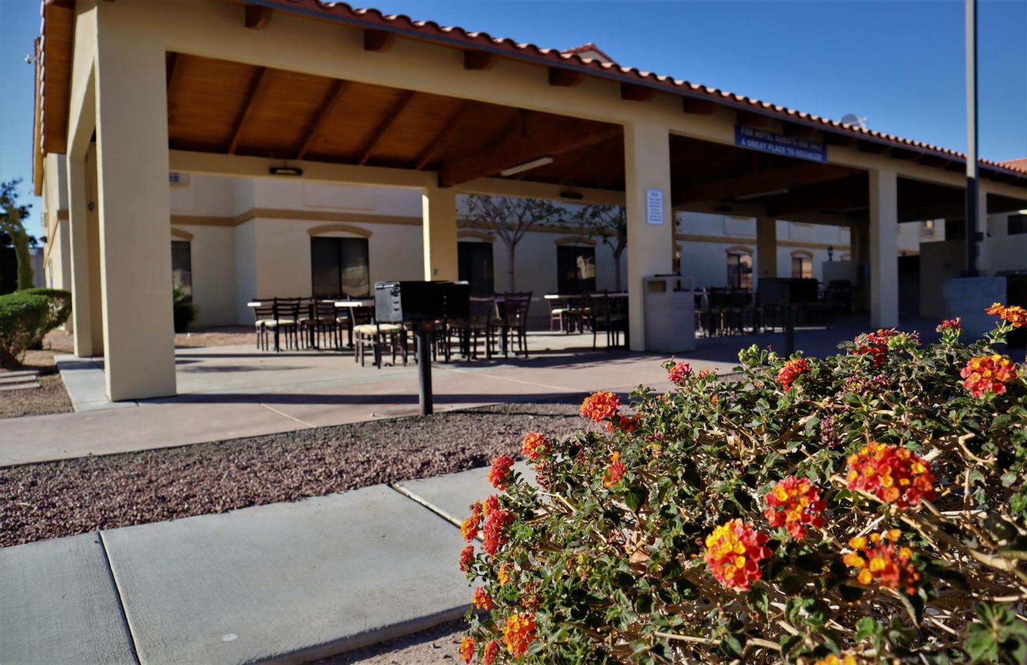 Oasis Inn And Suites 29 Palms Hotel Joshua Tree National Park Туентинайн Палмс Екстериор снимка